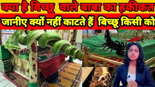 Bicchu Wale Baba ki Haquikat | A Mysterious Dargah in Uttar Pradesh at Amroha The India Tv News