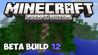 [0.9.0 Beta] (FINAL BUILD) BUILD 12 UPDATE! - Minecraft Pocket Edition