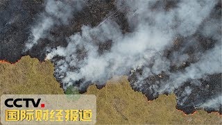 [国际财经报道] 亚马孙雨林大火持续燃烧 巴西多地烟雾笼罩 | CCTV财经