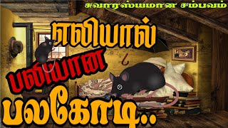 முஹம்மது பின் சீரீன்(ரஹ்) க்கு எலியால் வந்த சோதனை🐀|இஸ்லாமிய வரலாறு|இஸ்லாமிய சம்பவங்கள்|உண்மை சம்பவம்