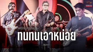 ทนทนเอาหน่อย - NUVO | Songtopia Livehouse