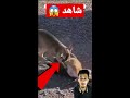 ام تضحي بنفسها لانقاذ ابنها shorts سبحان_الله