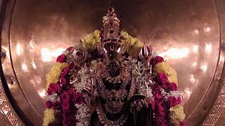 ஸ்ரீ த்ரீசக்தி வாராஹி அம்மனுக்கு தைப்பொங்கல் சிறப்பு அபிஷேகம் அலங்காரம் ஆராதனை....