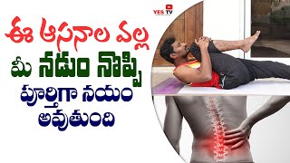 ఈ ఆసనాల వల్ల నడుం నొప్పి పూర్తిగా మాయం అవుతుంది అంటున్న యోగ గురువు||Adinarayana Yoga||Yes Tv