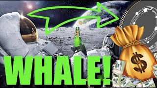 WARNING ECOMI HOLDERS | WHY WHALES LIKE ME ARE BUYING OMI NOW!