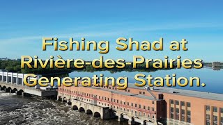 Fishing at Rivière-des-Prairies Generating Station / Shad fishing / Peche alose