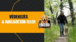 EBizód 4. rész - Védekezés a kullancsok ellen