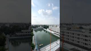 Sarovar Kar Sewa Gurduara Kaulsar Sahib Baba Atal Rai Sahib Ji Near Golden Temple❤️ #amritsarislive