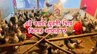 এই কয়টা মুরগী দিয়ে কিসের আবার খামার?? এত অল্প মুরগি দিয়ে কি খামার হয়। 🐓🐓