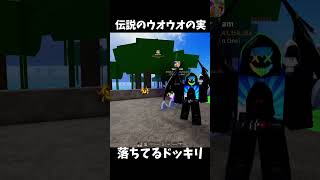 【ブロックスフルーツ】伝説級の悪魔の実が普通に落ちてたら… #ブロックスフルーツ #roblox #ロブロックス #bloxfruits