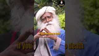 How To Overcome Loss?| Mystical Yogi: SADHGURU #sadhguru #motivational #life #short