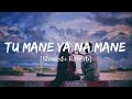 Tu Mane Ya Na Mane Dildara Lofi Song | Rab Maneya Lofi Song | slowed+ Reverb Remix