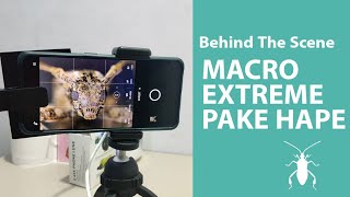 Behind The Scene - Macro Extreme dengan Smartphone Part 2