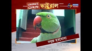 AAMAR BANGLA VIRAL:  সবুজ হরবোলা