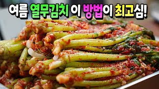 여름 열무김치의 해답 .. 모두가 탐내는 그맛 👍 다 퍼가네요~👀