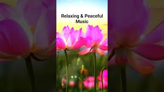 Relaxing & Peaceful Music #relaxing #peace #music #meditation #meditationmusic #stressrelief #stress