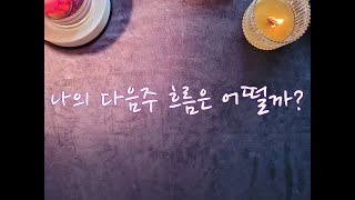 타로 | '나'의 다음주 운세는?