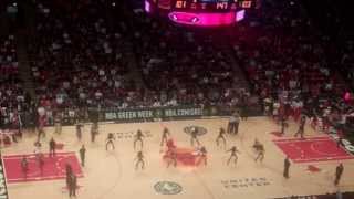 Chicago Luvabulls and Benny the Bull perform 4.11.13