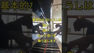 【3拍子の基本的な伴奏】「きつつき」（どりーむ４）