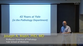 Symposium for Joseph A. Madri - Yale Pathology