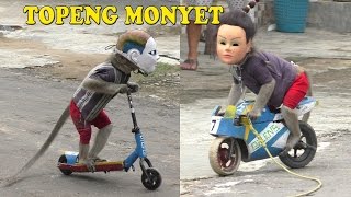 Download Lagu TOPENG MONYET The best Monkey street attraction... MP3 Gratis