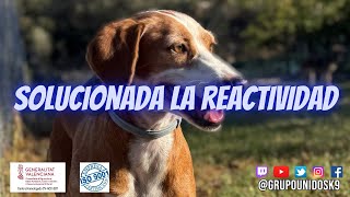 Solucionada la reactividad