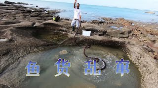 百米懸崖下的石頭坑，坑裏魚貨亂竄，抽幹抓過癮，大熊發了個小財