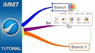 Branch Formatting - iMindMap 7