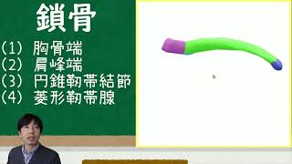 鎖骨　【解剖生理学・形態機能学】