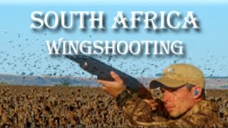 Rock Pigeon Shooting in South Africa 2024