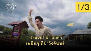 เที่ยวไม่ซ้ำทาง EP49 - travel \u0026 learn เพลินๆ ที่ป่าวังจันทร์ (5 ธ.ค. 2563) 1/3