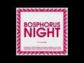 bosphorus night by suat atesdagli 2007