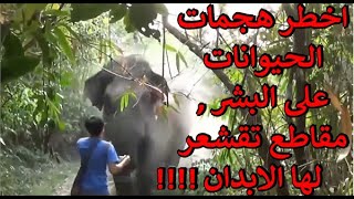 اخطر هجمات الحيوانات على البشر مقاطع تقشعر لها الابدان