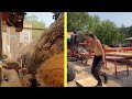 let’s mill this old hard maple log into slabs