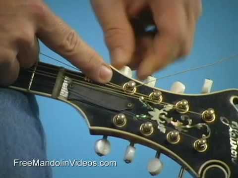 How to Change a Mandolin String How to Change a Mandolin String