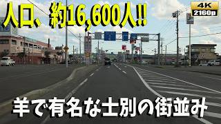 冬はマイナス30度、夏は30度超え‼️人口約16600の街‼士別市の街並み風景。