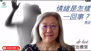 |粵| 字|令人費解的情緒: 人是善變和難以捉摸，正是因為背後控制人的思想和行為的幕後主腦 --情緒!  #情緒 #防衛機制 #經歷神的愛 #情緒功能