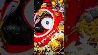 💫🌺 ଜଗତ ରେ  ପାଇବୁନି ଏମିତି ଠାକୁର ଟିଏ ⭕❗⭕odia Jagannath New bhajan ⭕❗⭕ #trending #status video #shrot