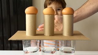 Simple Science Experiments You Can Do With Eggs Before Breakfast
