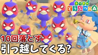 【あつ森】離島の住民を10回落とし穴にはめたら引っ越してこない説【あつまれどうぶつの森検証】