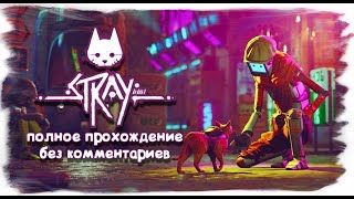 Stray (полное прохождение без комментариев)