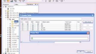 JavaDerbyTutorial.avi