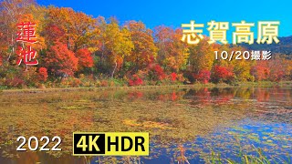 2022 志賀高原蓮池の紅葉(4K-HDR) Autumn Colors At Hasuike Pond At Shiga Highland(UHD-HDR)