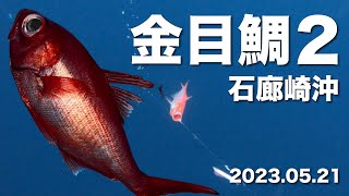 金目鯛２　2023年5月石廊崎沖