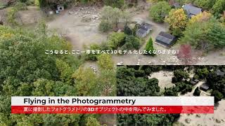 Flying in the Photogrammetry /フォトグラメトリの中を飛んでみた