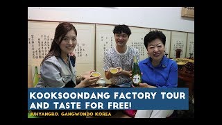 [ENG] 국순당 술창고 강원도 주향로 투어! ｜Visit Korean Liquors factory Tour [테이스티코리아] [광고]