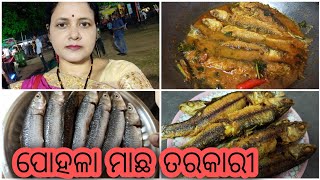 🥰ପୋହଳା ମାଛ ତରକାରୀ/Pohala Fish Curry in odia/Gota Macha Tarkari/Authentic odia nonveg food#pohalafish