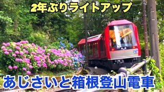 【箱根旅行】2021年 箱根登山鉄道 あじさい電車 ライトアップ(箱根湯本、宮ノ下、強羅、早雲山 全て開花見頃) 2023 夜のあじさい号