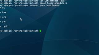 Java - Console Input