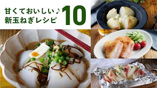 [10 new onion recipes] Sweet and soft! Various recipes that you want to taste at this time ♪